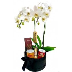 box clássico com orquídea