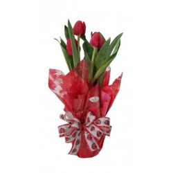 finas tulipas decorado