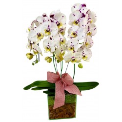 orquídea premium 3 hastes