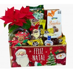 Natal com Mini Poinsétia