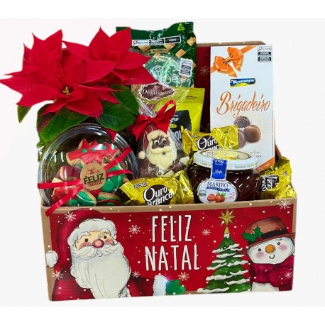 Natal com Mini Poinsétia