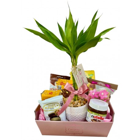 para mãe com bambu da sorte