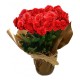 begonia premium