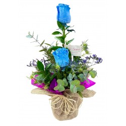 arranjo de rosas Blue (importada)