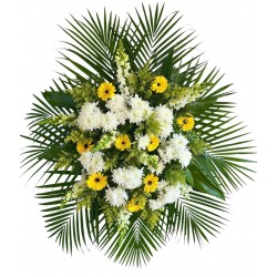 fina cora de flores