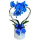 Orquídea azul no luxo