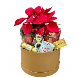 Box celebração Natalina