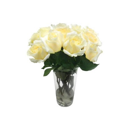 lindo Vaso Rosas Brancas